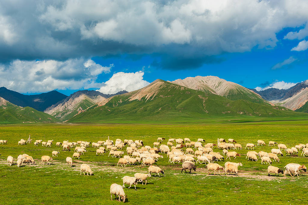 横滨水手 vs 川崎前锋_喜马拉雅山烟花秀风波横滨水手 vs 川崎前锋，审批是否合规才是重点