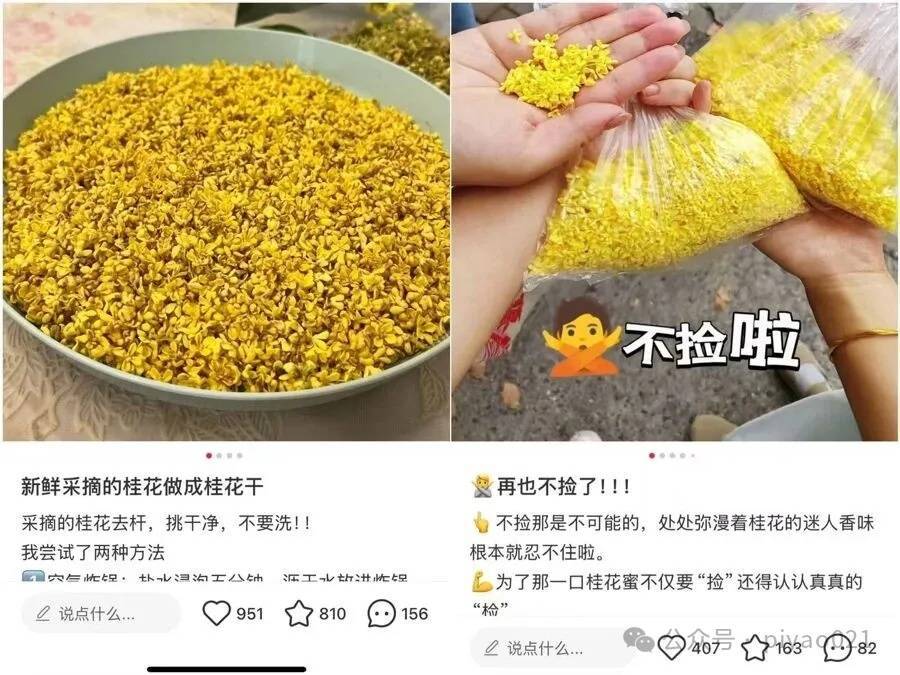 皇冠信用网会员
_这两天皇冠信用网会员
，上海满城都是！千万不要随便吃，容易中毒……