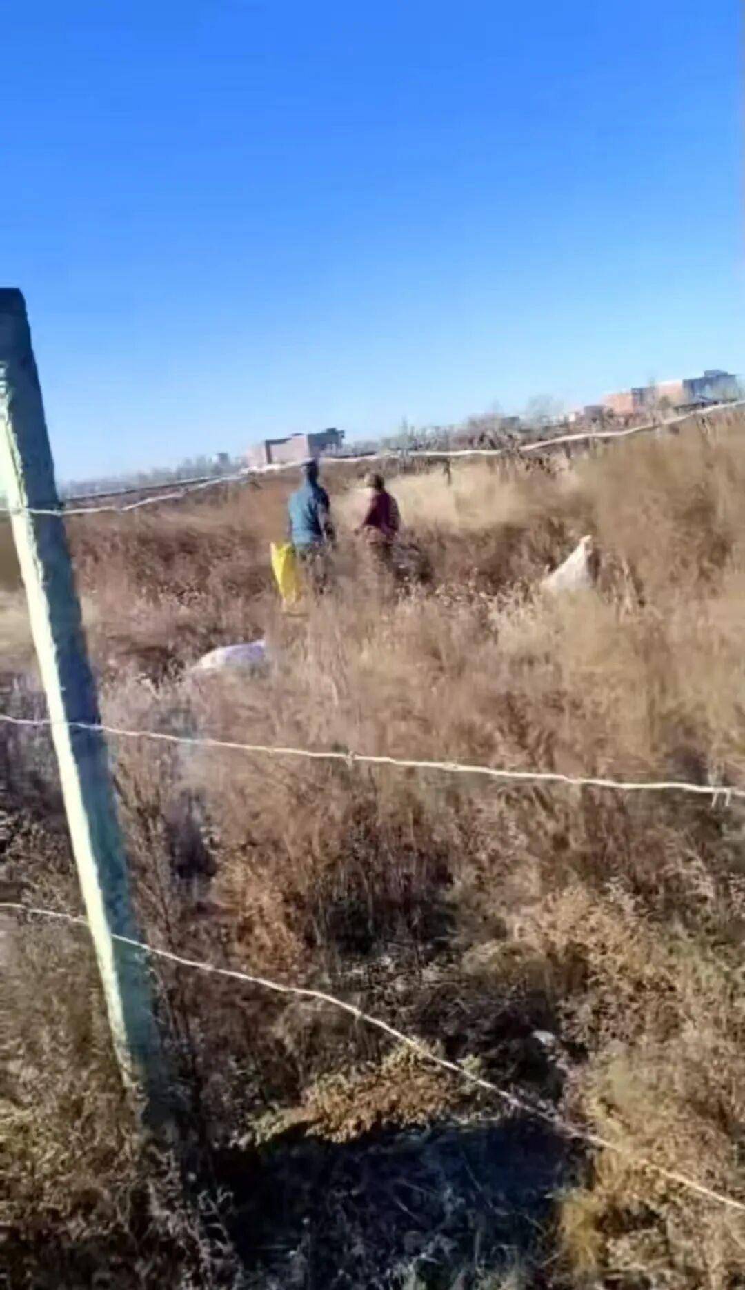 信用网怎么开户
_百亩向日葵遭村民哄抢信用网怎么开户
，损失50万元！警方已行拘4人